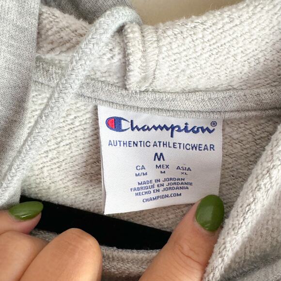 Champion Grey Harvard Hoodie Hooded Sweatshirt - Medium - Picture 4 of 6